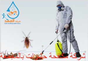 شركة مكافحة حشرات بالمجمعة