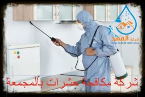 شركة مكافحة حشرات بالمجمعة