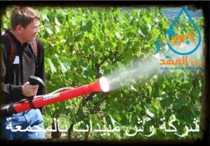 شركة رش مبيدات بالمجمعة