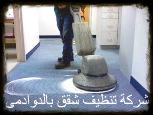 شركة تنظيف شقق بالدوادمي