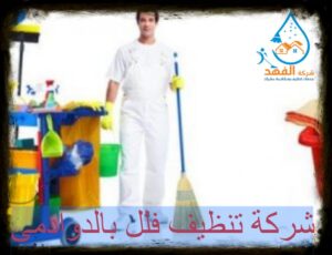 شركة تنظيف فلل بالدوادمي