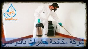 شركة مكافحة حشرات بالدوادمي