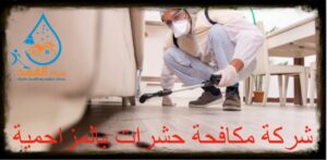 شركة مكافحة حشرات بالمزاحمية