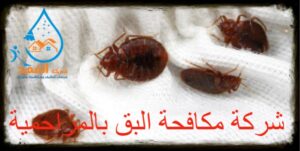 شركة مكافحة البق بالمزاحمية