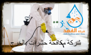 شركة مكافحة حشرات بالخرج